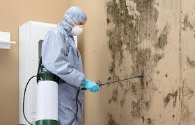 Mold Odor Removal Services in Avilla, IN